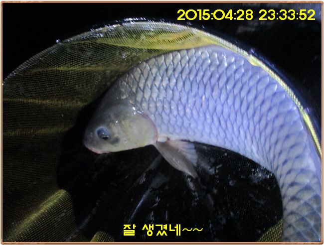 �ٹ̱�_IMG_1151.JPG