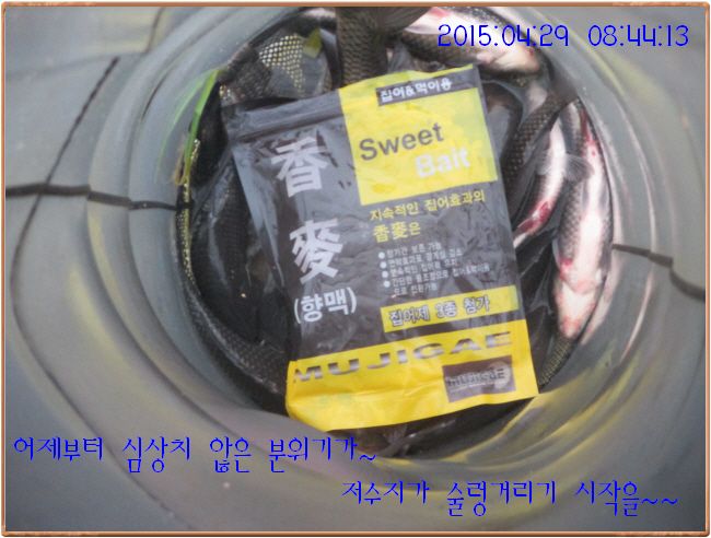 �ٹ̱�_IMG_1153.JPG