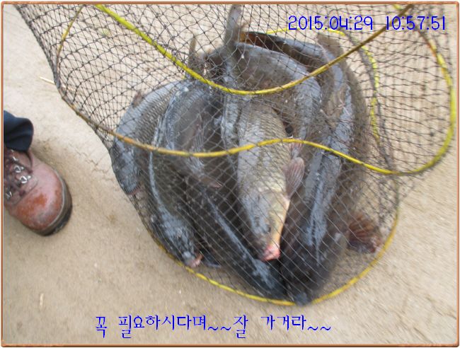 �ٹ̱�_IMG_1154.JPG