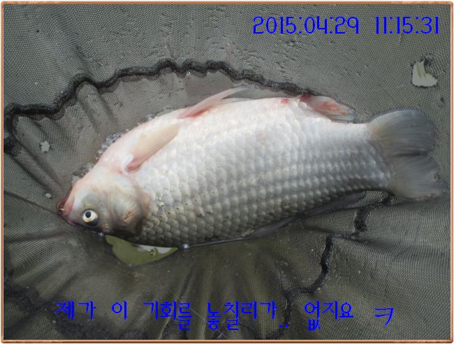 �ٹ̱�_IMG_1156.JPG