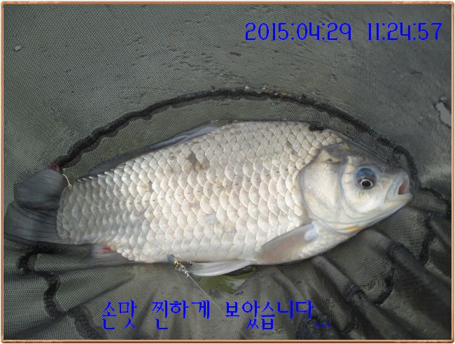 �ٹ̱�_IMG_1157.JPG