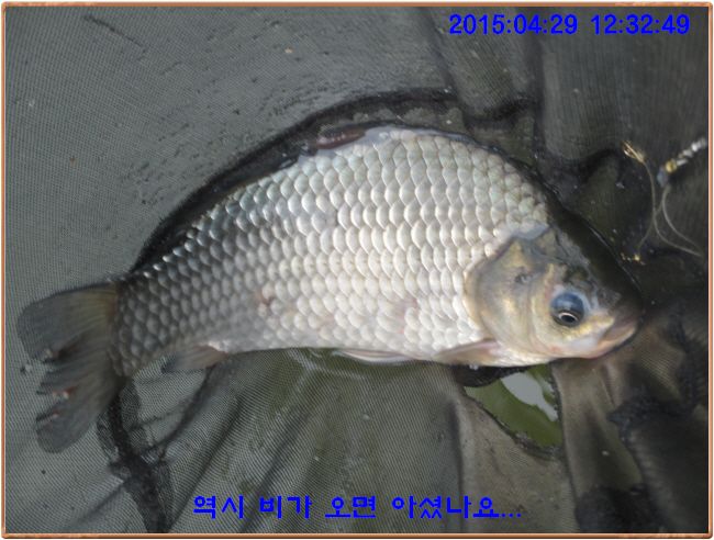 �ٹ̱�_IMG_1161.JPG
