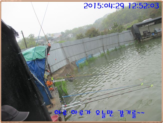 �ٹ̱�_IMG_1167.JPG