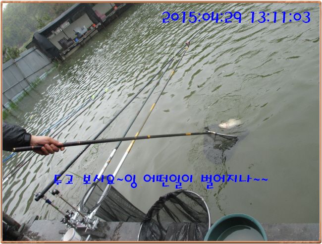 �ٹ̱�_IMG_1170.JPG
