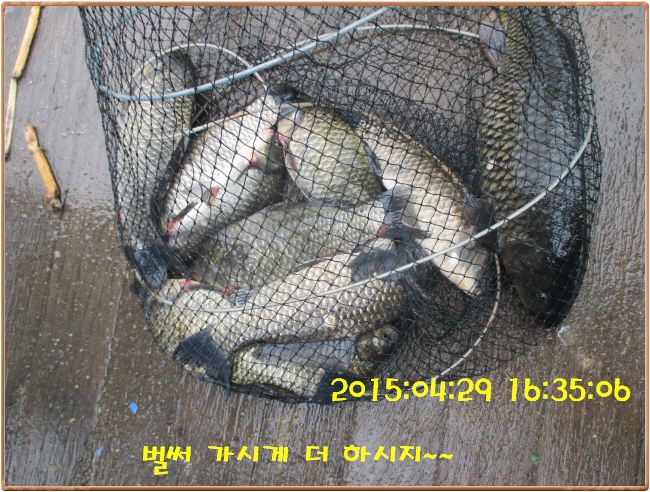 �ٹ̱�_IMG_1184.JPG