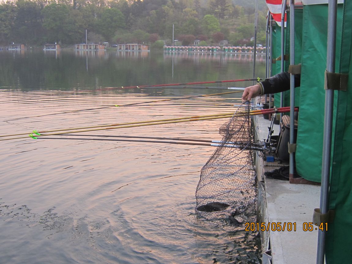 5��1�� 002.JPG