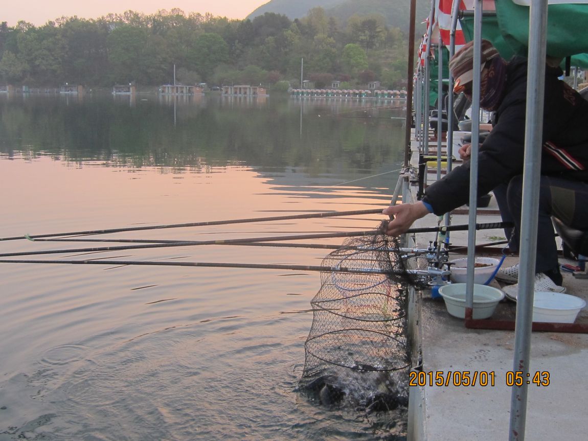 5��1�� 003.JPG