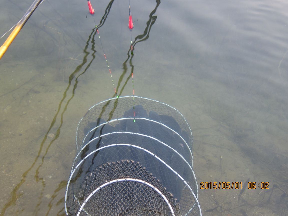 5��1�� 009.JPG