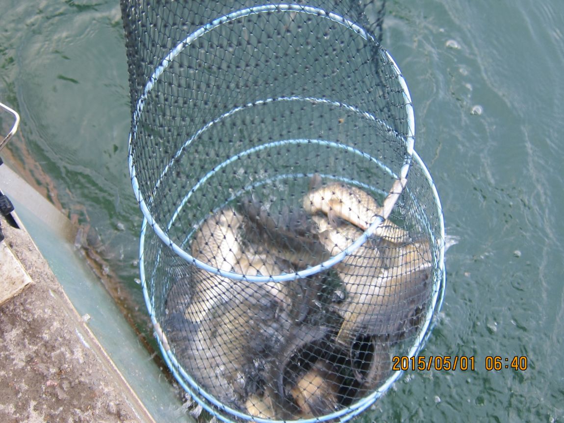 5��1�� 016.JPG