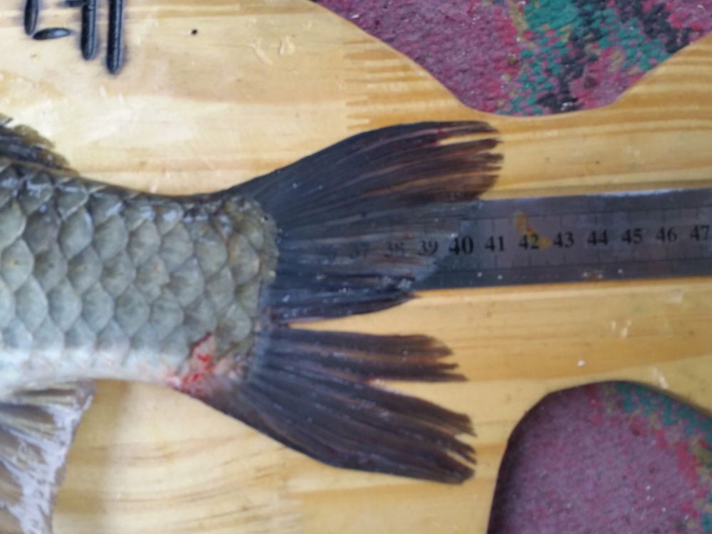 ũ�⺯ȯ_�纻 -20150501_182758.jpg