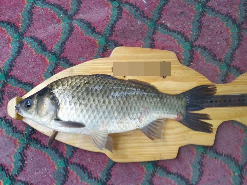 ũ�⺯ȯ_�纻 -20150501_182753.jpg