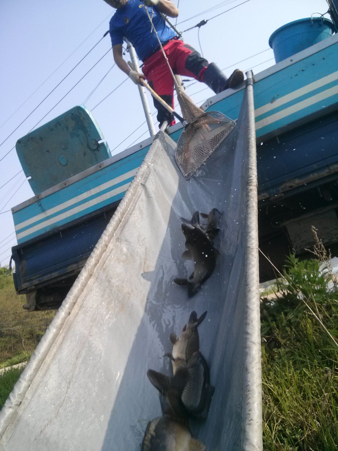 CAM04999.jpg