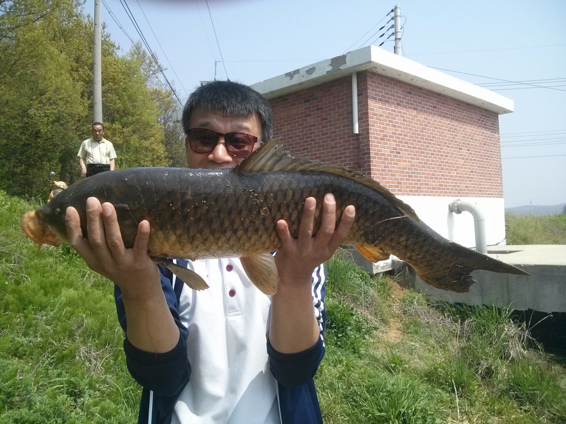 CAM05017.jpg
