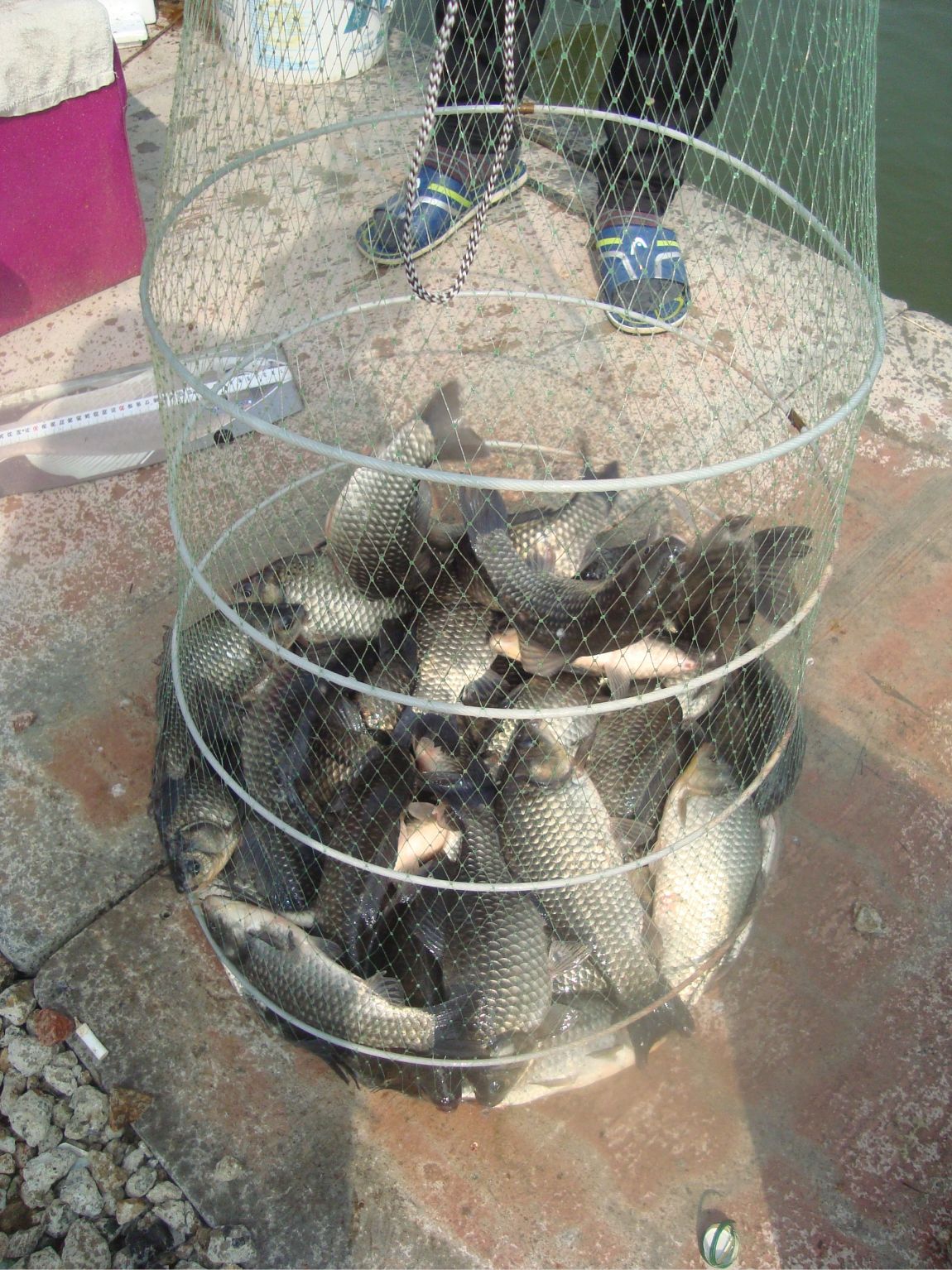 2015-5-2 029.JPG