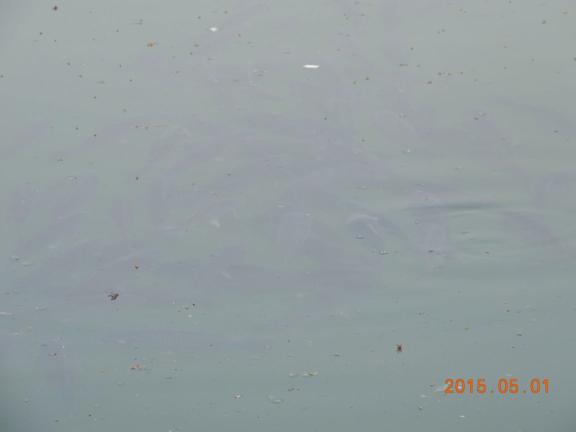 DSCN4983.JPG