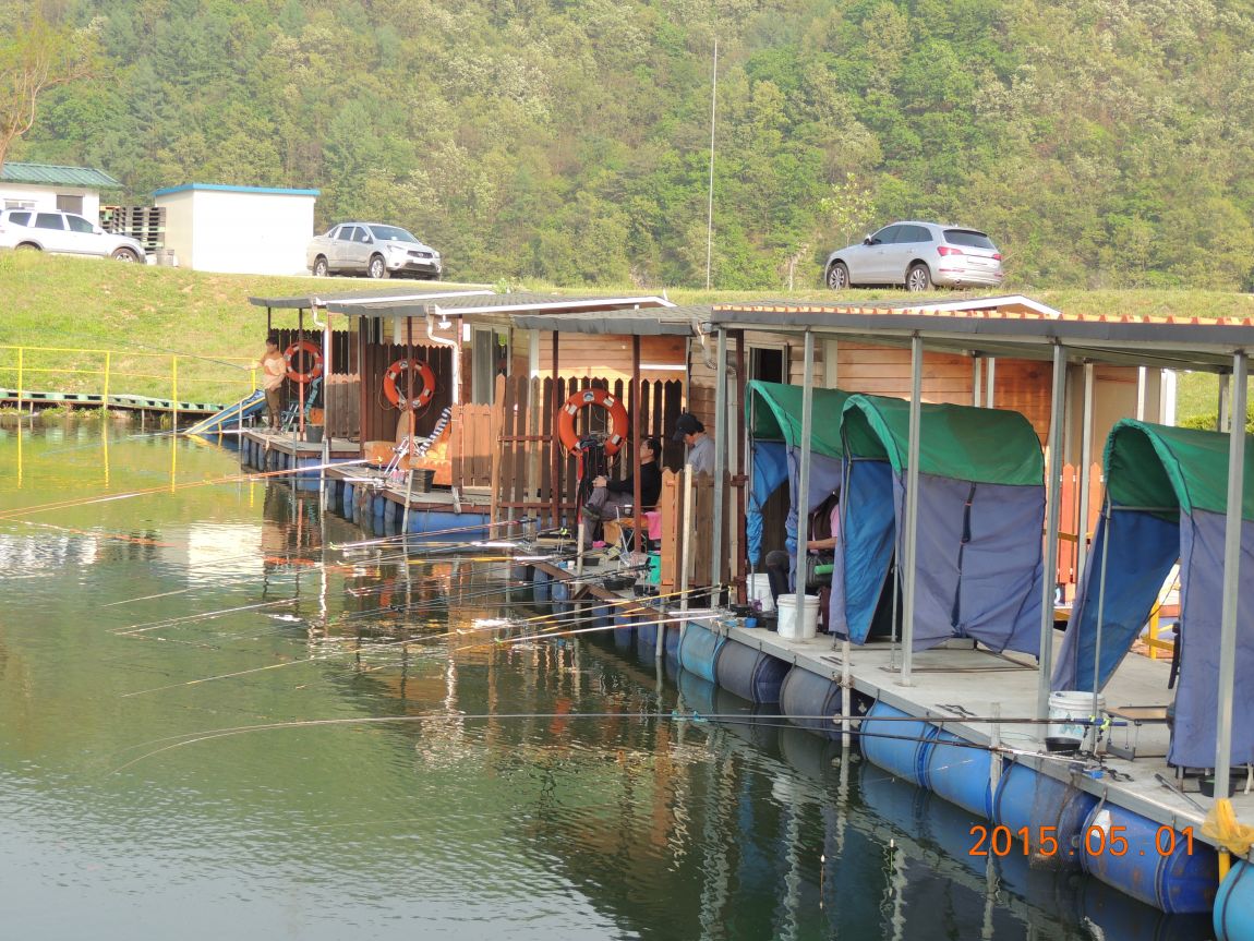 DSCN4986.JPG