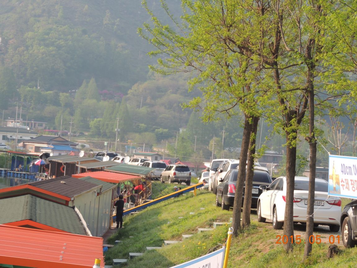 DSCN4991.JPG