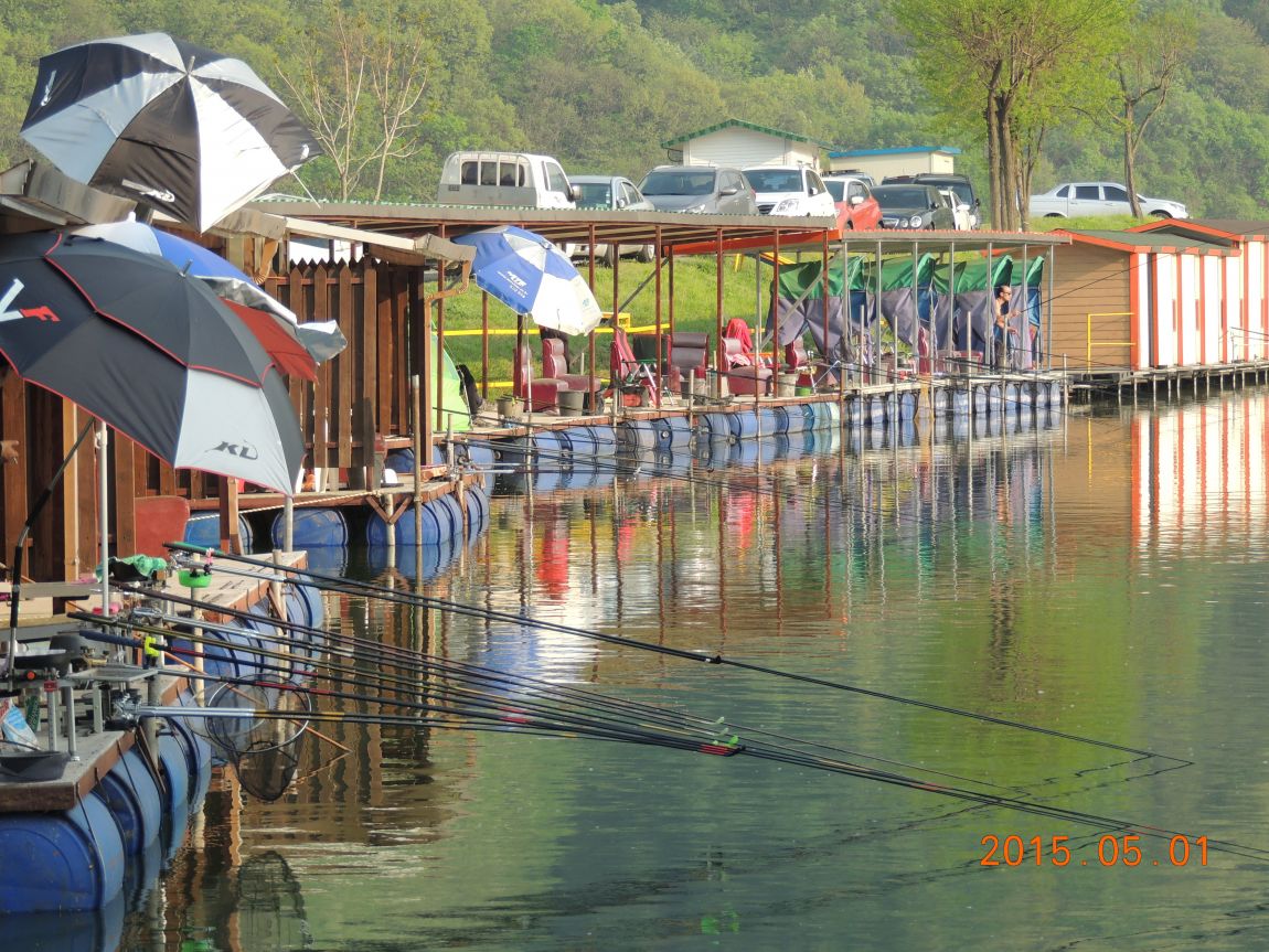 DSCN4993.JPG