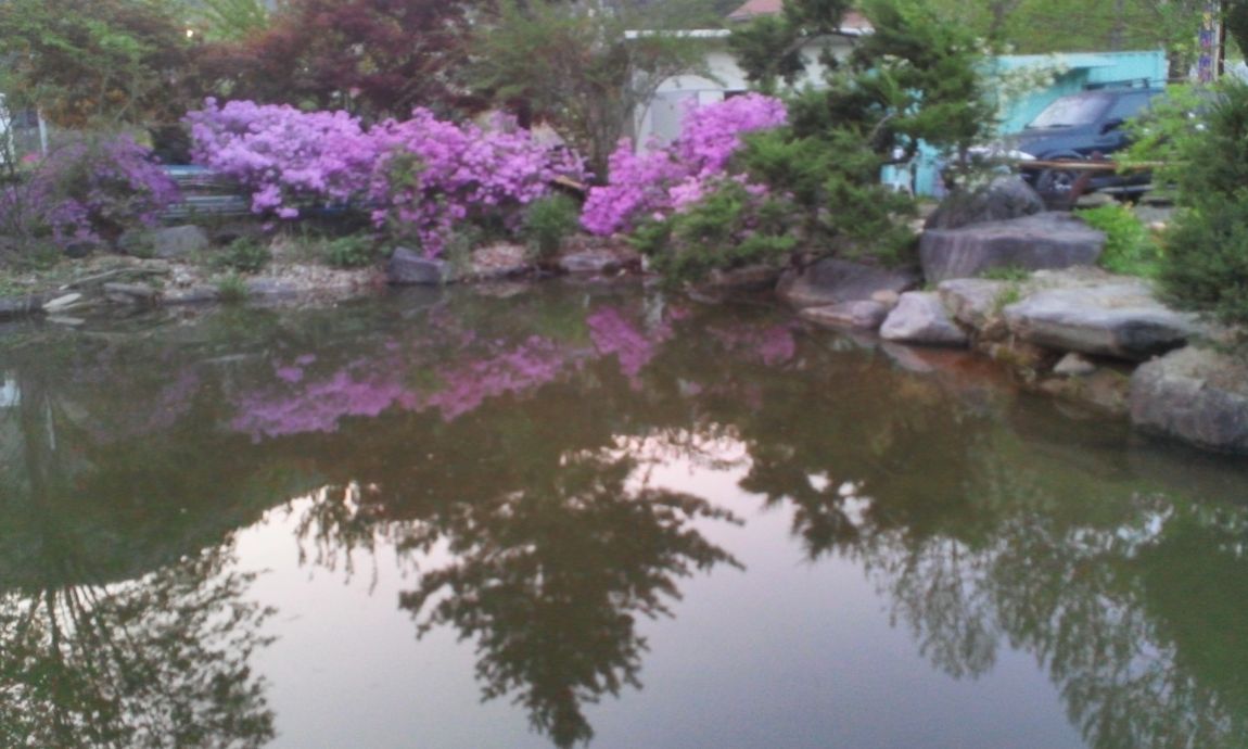 IMG_20150501_191836.jpg