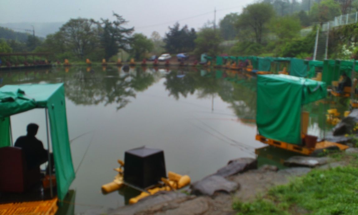 IMG_20150503_100706.jpg