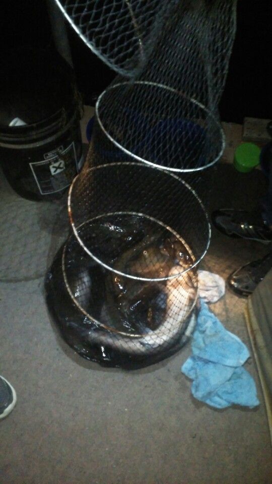 1430620243024.jpeg