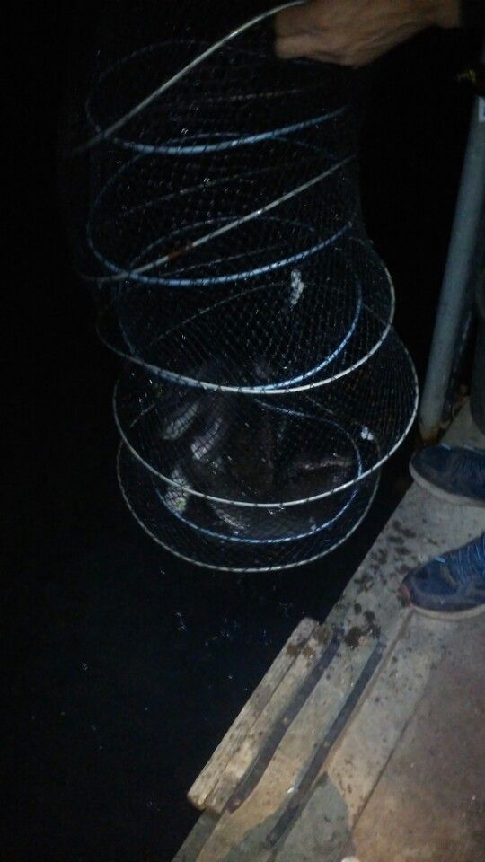 1430620247174.jpeg