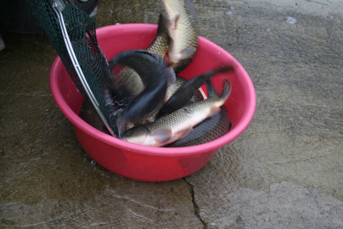 IMG_2855.JPG