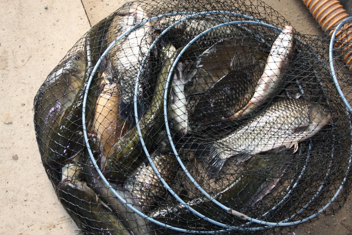 5��4�� 015.JPG