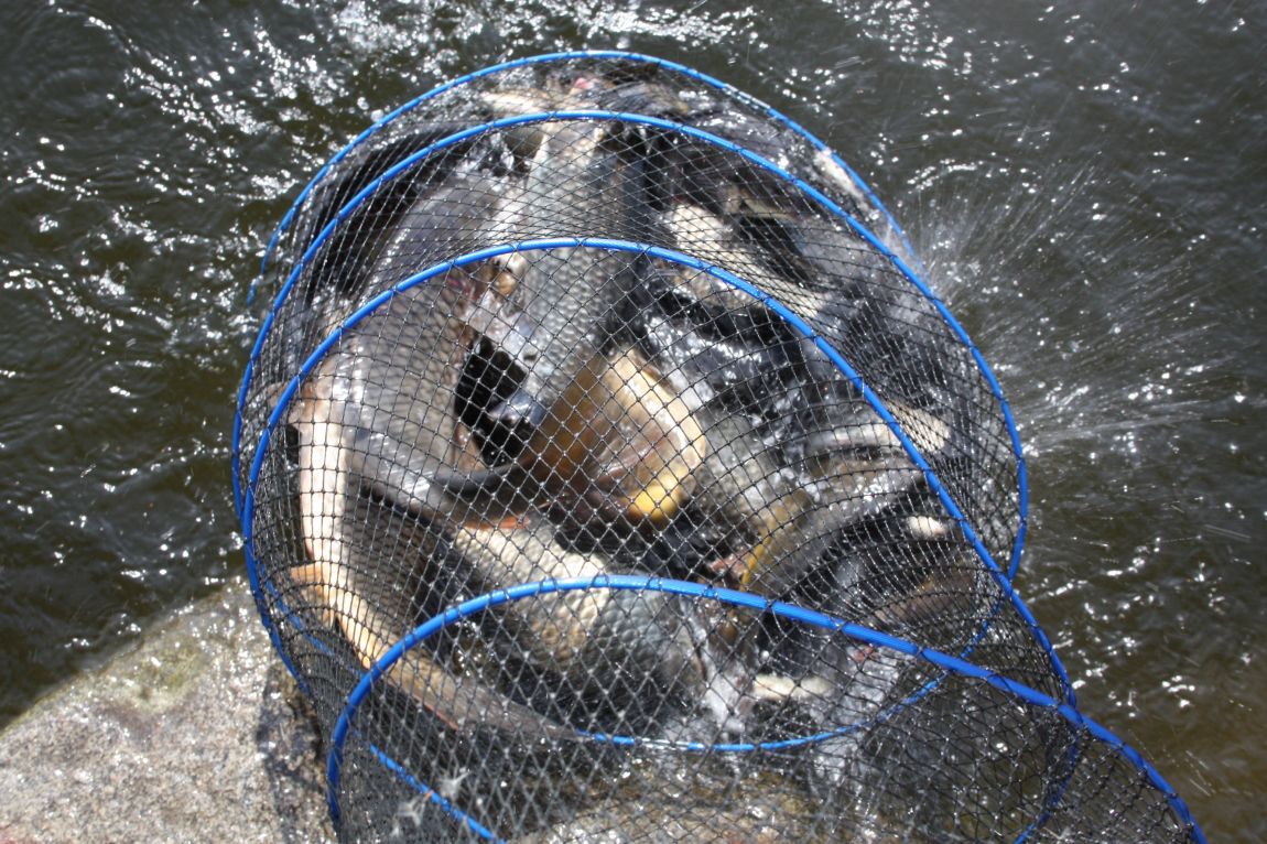 5��4�� 016.JPG