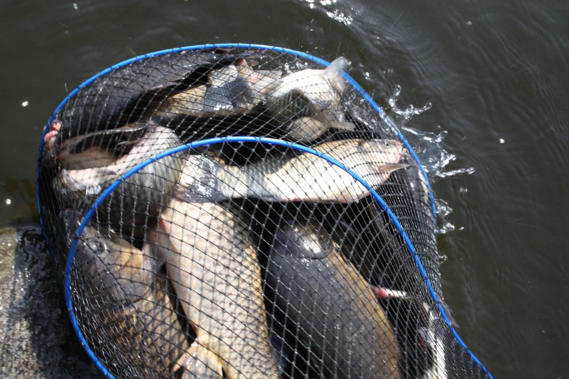 5��4�� 018.JPG