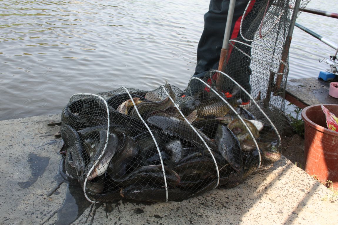 5��4�� 025.JPG