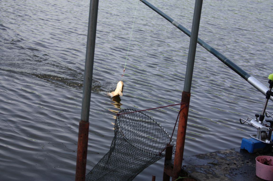 5��4�� 030.JPG