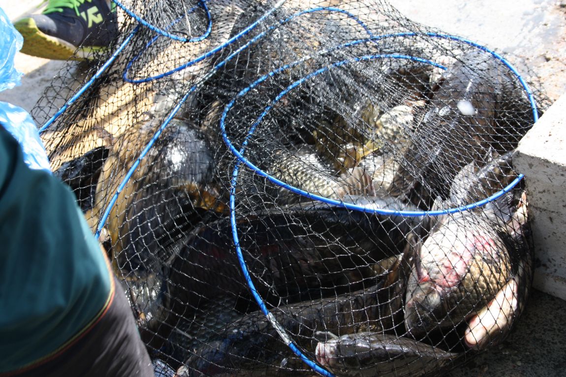 5��4�� 037.JPG