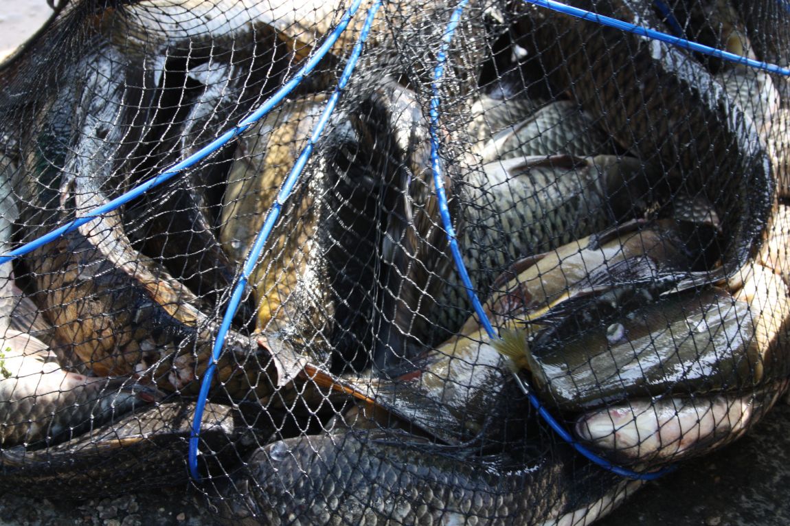 5��4�� 040.JPG