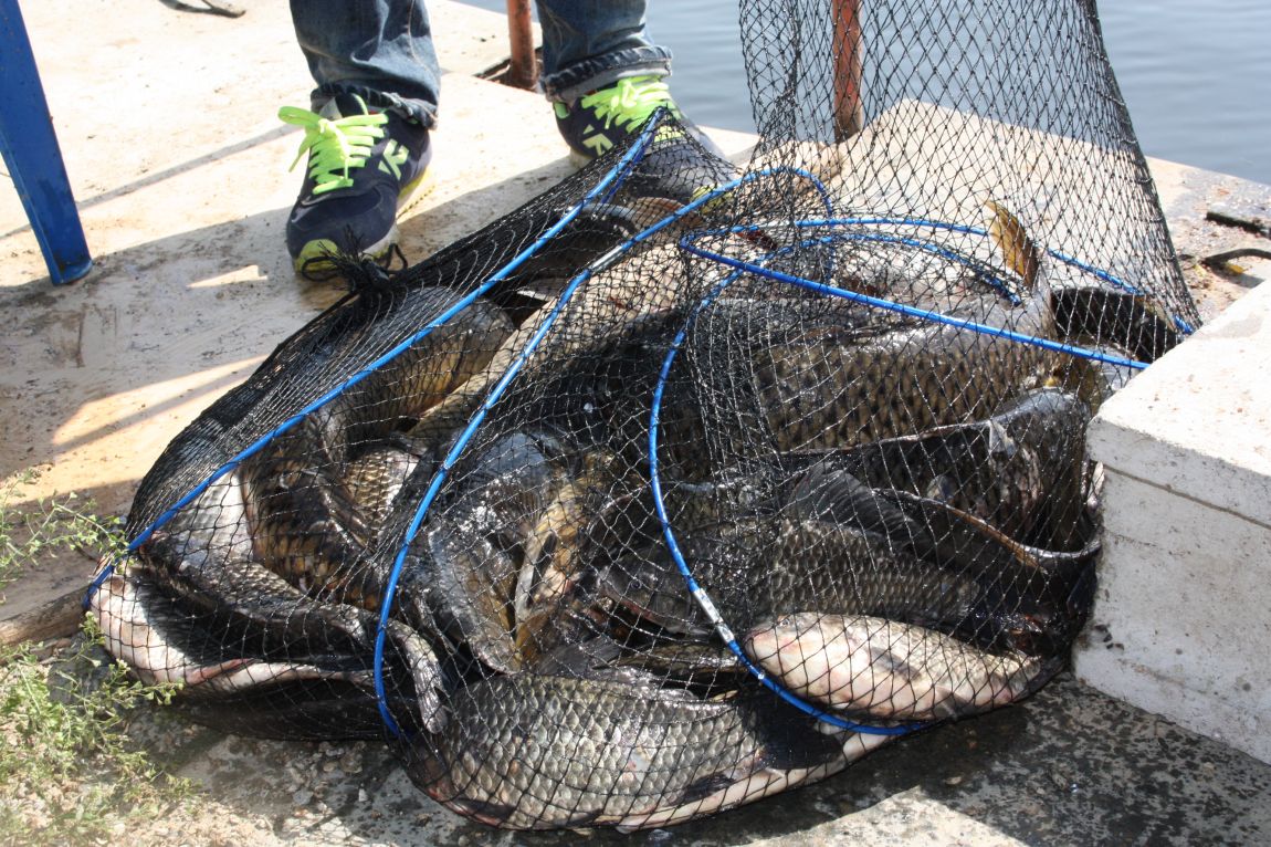 5��4�� 042.JPG