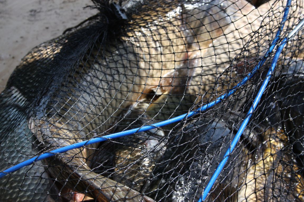 5��4�� 043.JPG