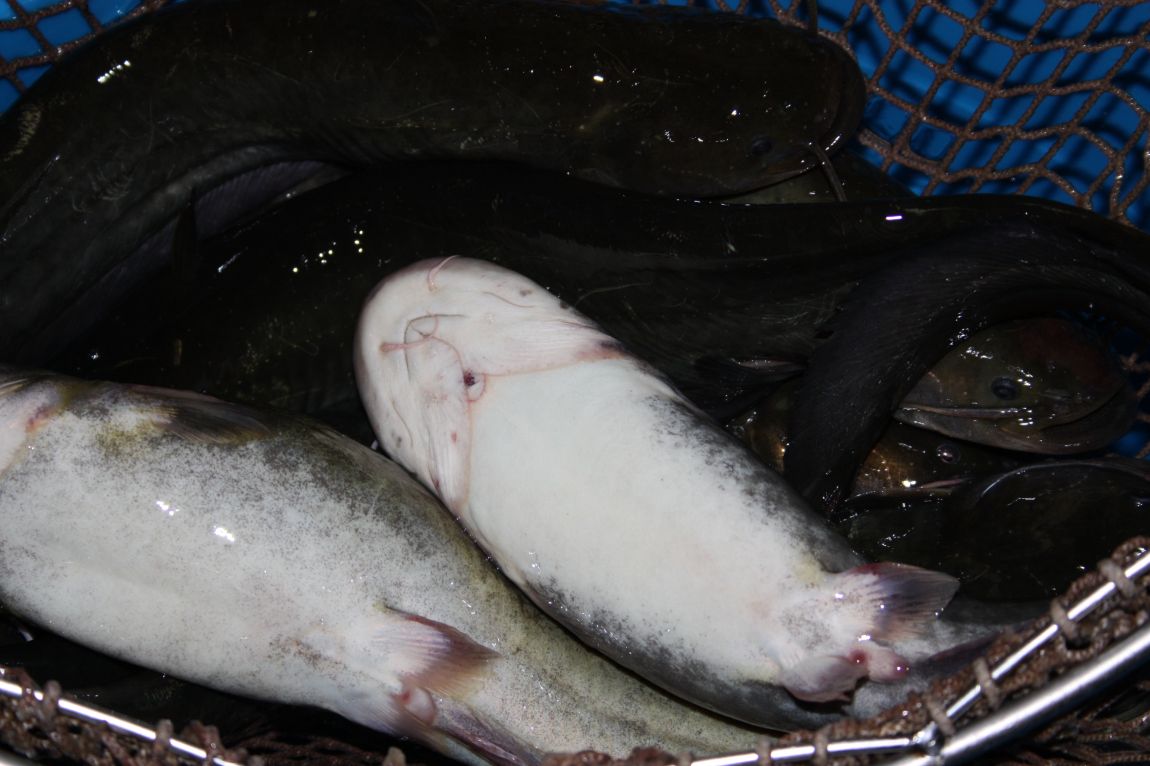 5��4�� 001.JPG