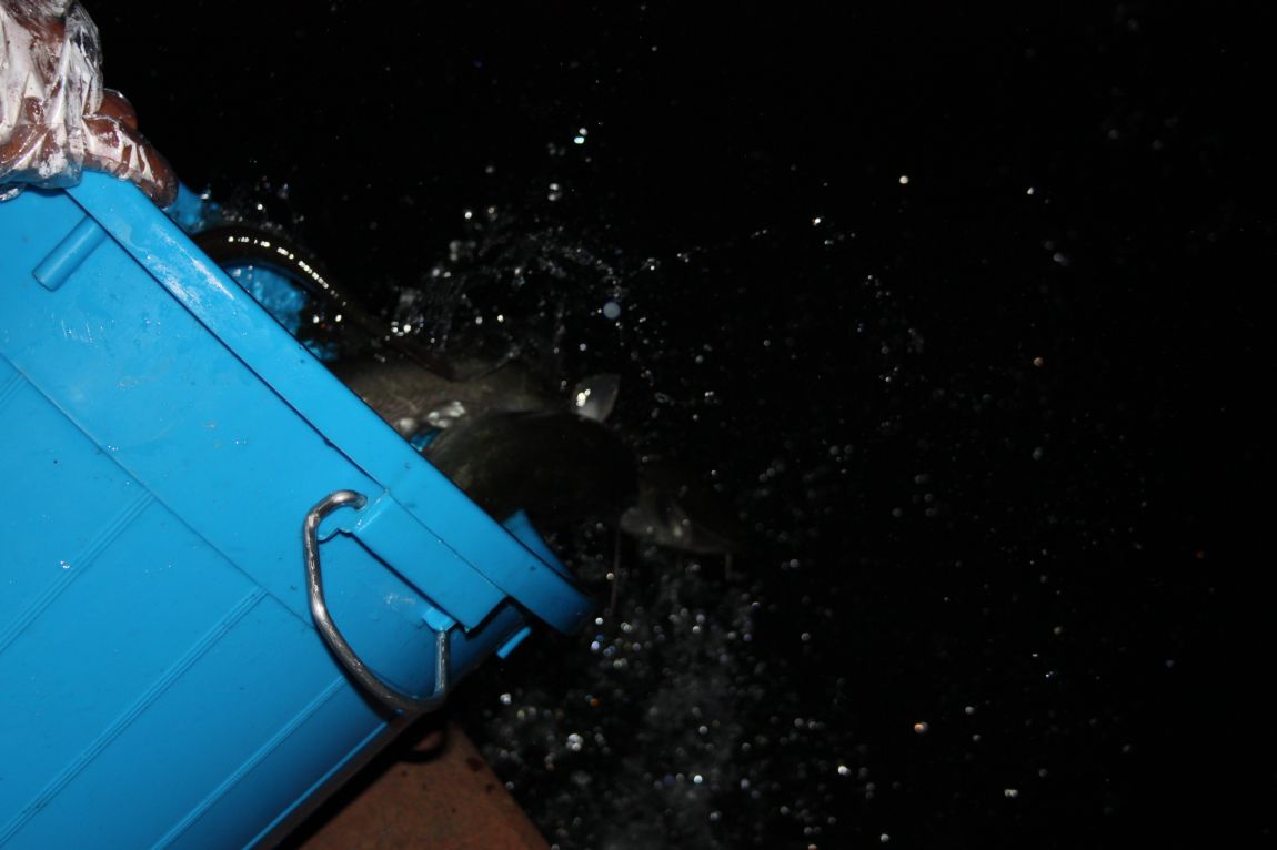 5��4�� 004.JPG