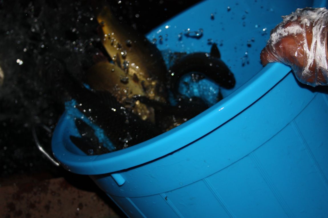 5��4�� 007.JPG