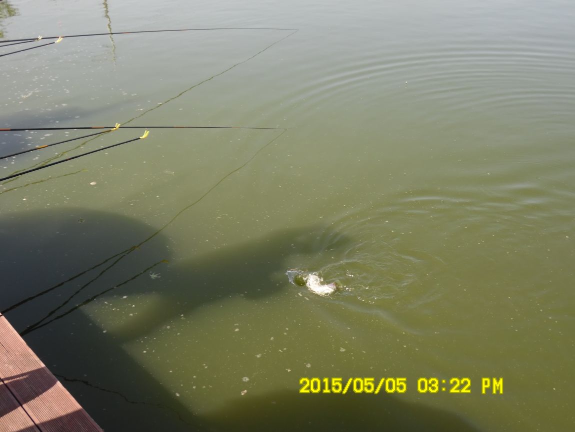 5��6�� 006.JPG