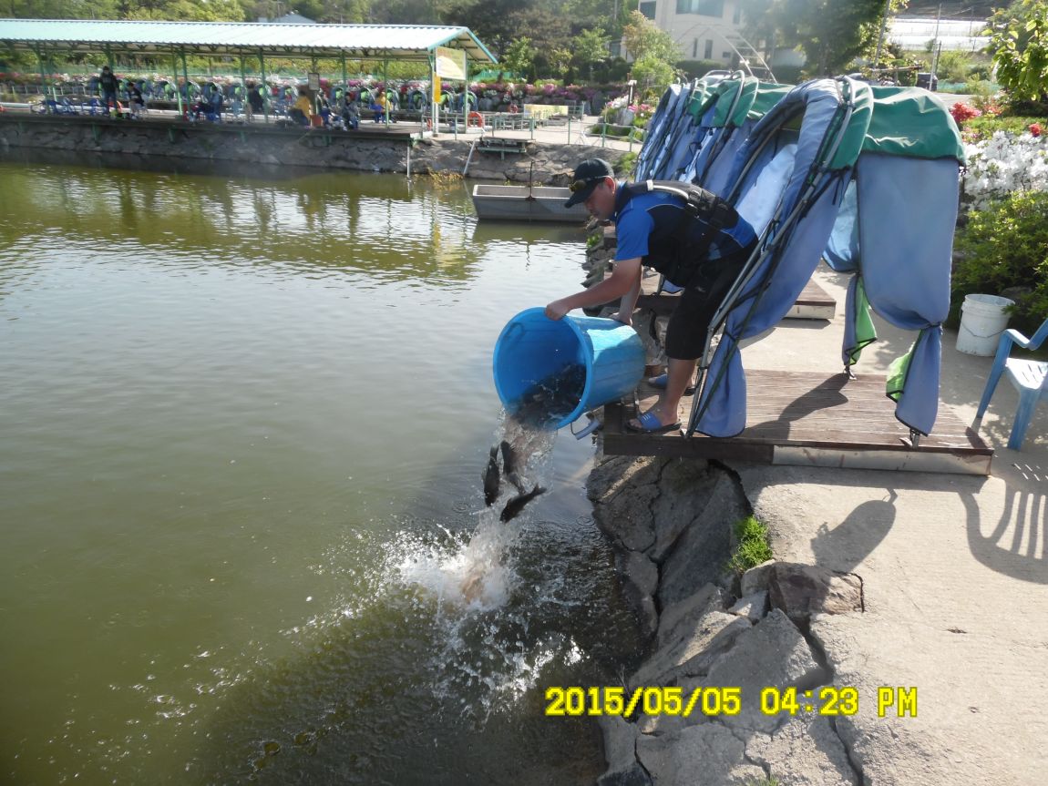 5��6�� 010.JPG