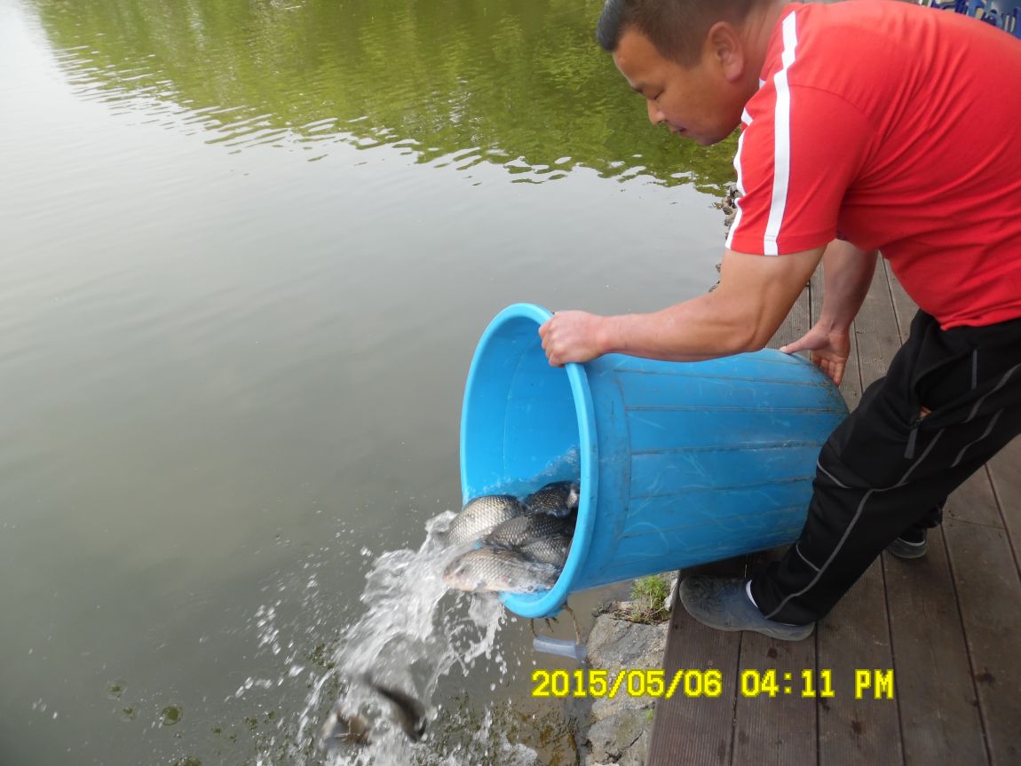 5��6�� 028.JPG