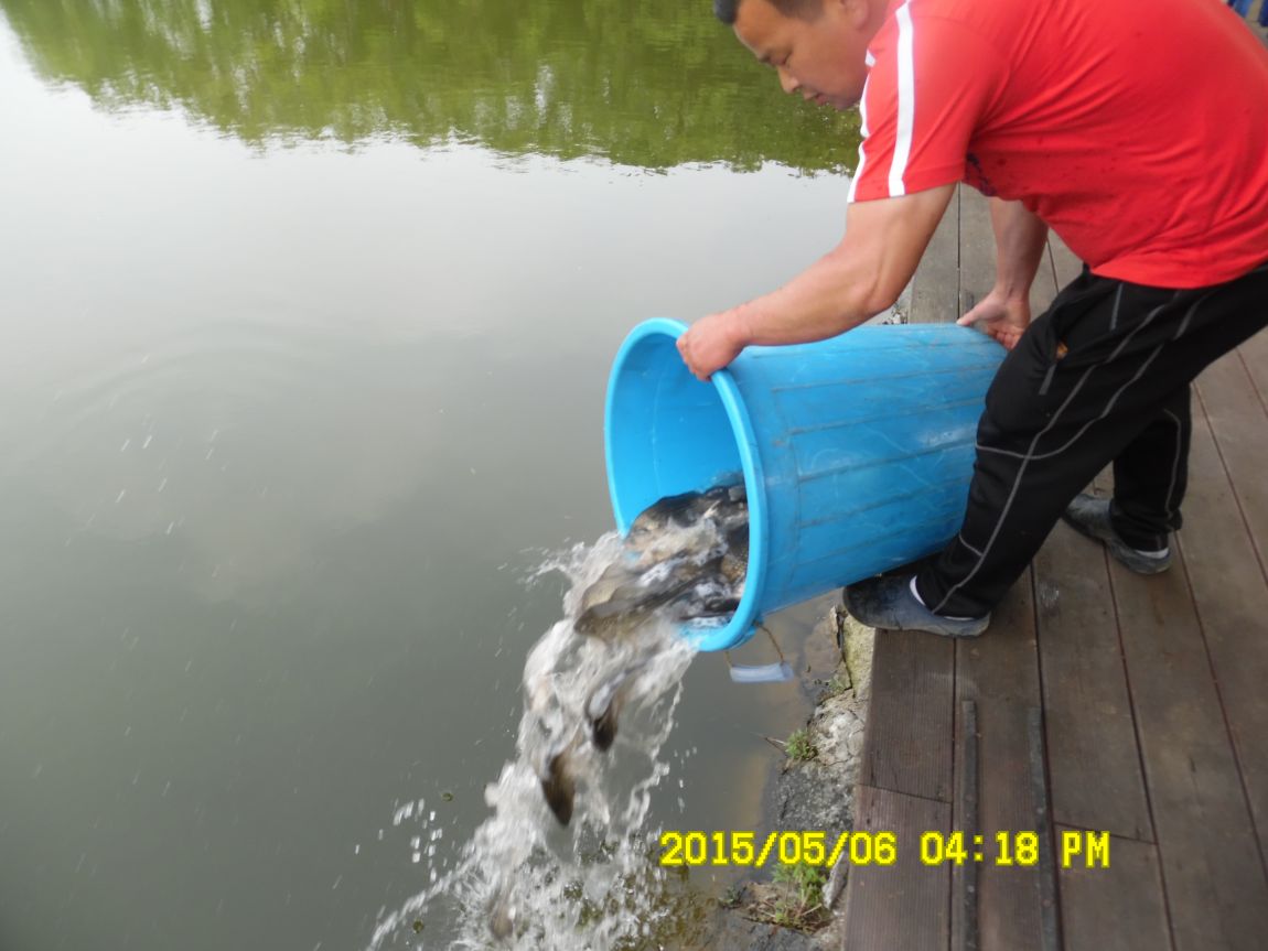 5��6�� 031.JPG