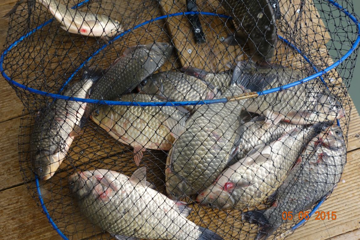 DSC04420.JPG