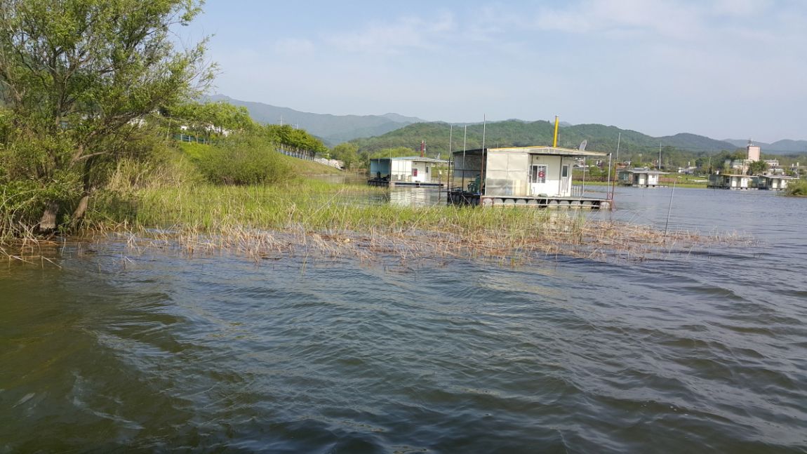 20150504_082348.jpg