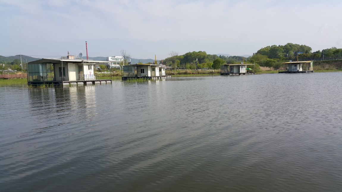 20150504_082444.jpg