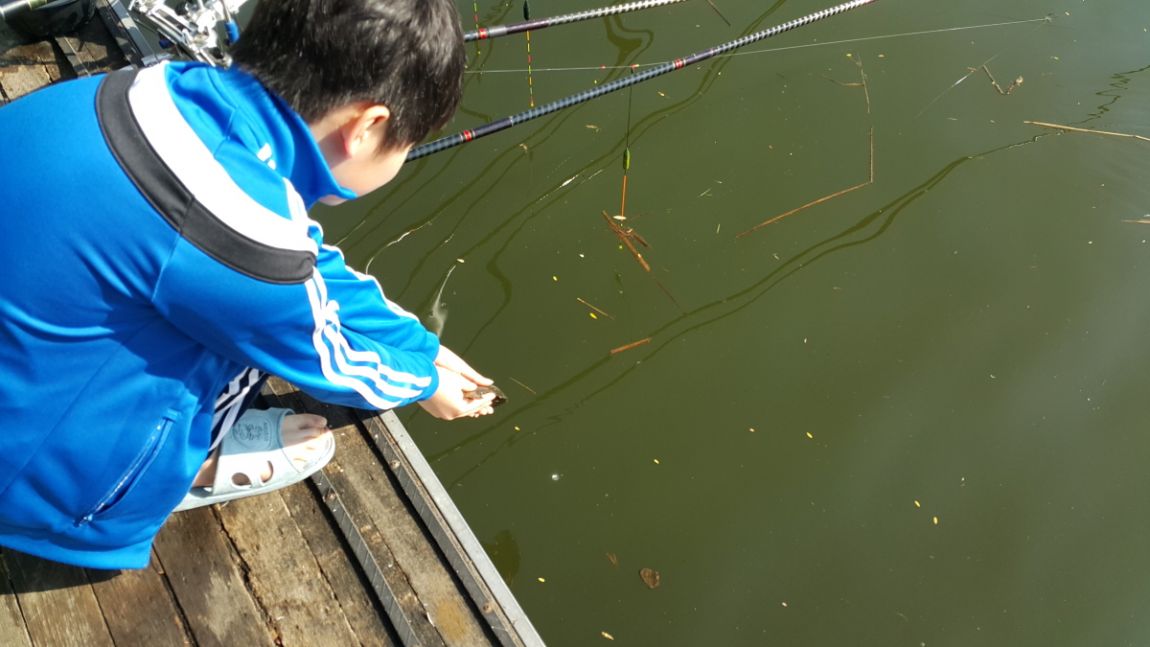 20150504_083812.jpg