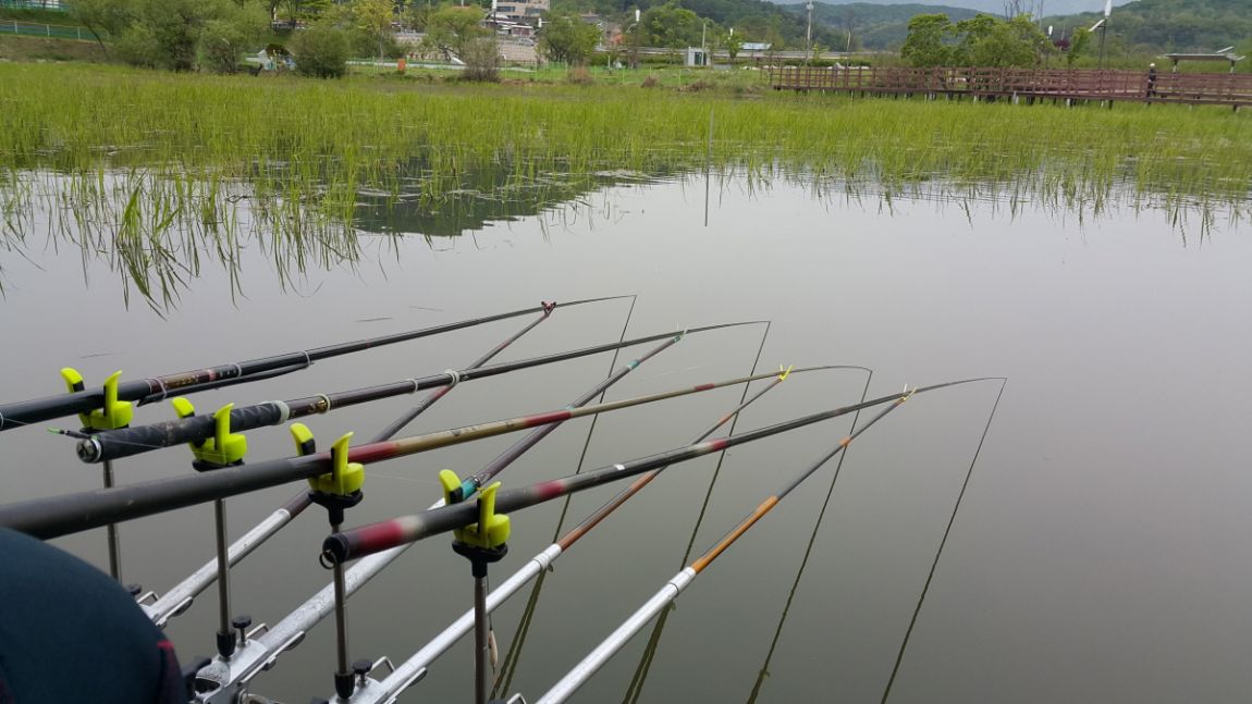20150506_083542.jpg