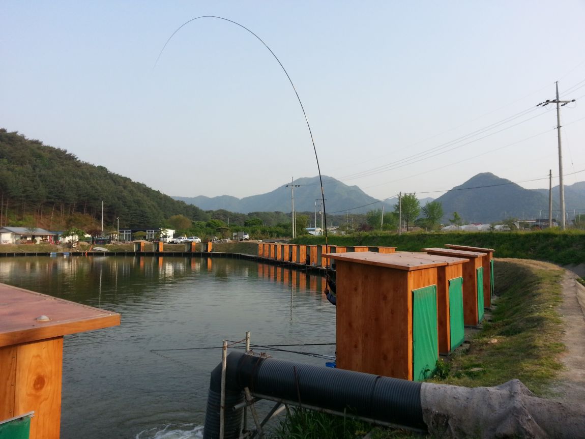 20150507_071020.jpg