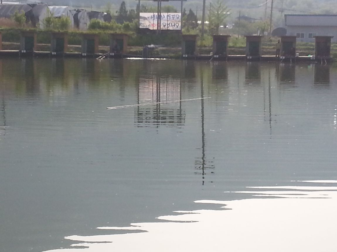 20150507_074908.jpg